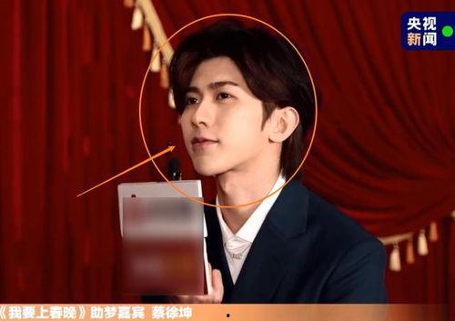 蔡徐坤采访爆料视频大全,揭秘偶像背后的故事与心声  第1张